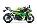 Motocykl Kawasaki Ninja 500 SE zelená / 2025