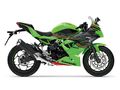 Motocykl Kawasaki Ninja 125 zelená KRT / 2024