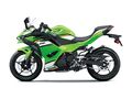 Motocykl Kawasaki Ninja 500 SE zelená / 2025