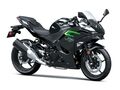 Motocykl Kawasaki Ninja 500 šedá / 2025