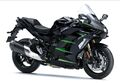 Motocykl Kawasaki Ninja H2 SX / 2025