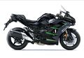 Motocykl Kawasaki Ninja H2 SX / 2025