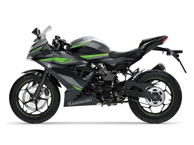 Motocykl Kawasaki Ninja 125 šedá / 2024